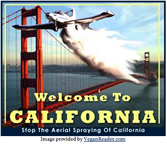 spray